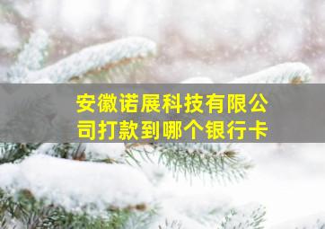 安徽诺展科技有限公司打款到哪个银行卡