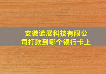 安徽诺展科技有限公司打款到哪个银行卡上