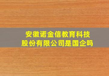 安徽诺金信教育科技股份有限公司是国企吗