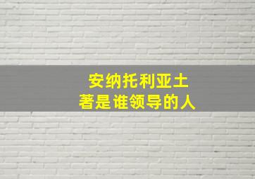 安纳托利亚土著是谁领导的人