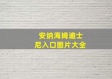 安纳海姆迪士尼入口图片大全