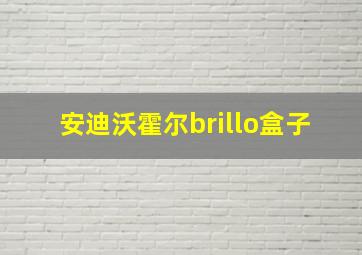 安迪沃霍尔brillo盒子