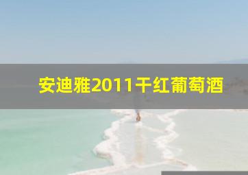 安迪雅2011干红葡萄酒