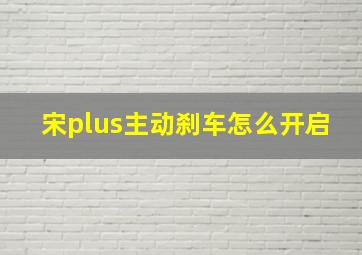 宋plus主动刹车怎么开启