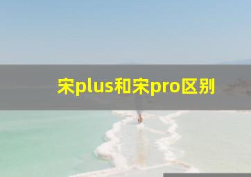 宋plus和宋pro区别