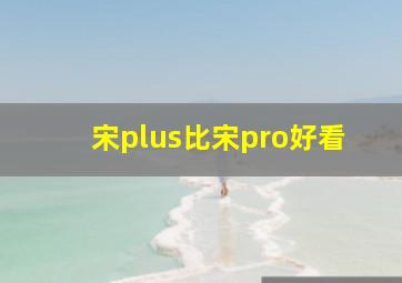 宋plus比宋pro好看