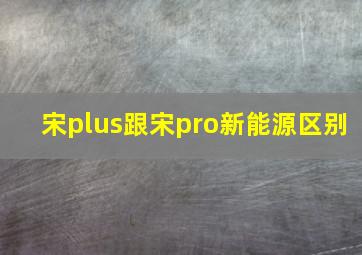 宋plus跟宋pro新能源区别