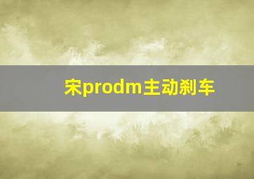 宋prodm主动刹车