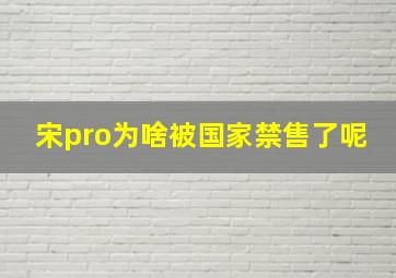 宋pro为啥被国家禁售了呢