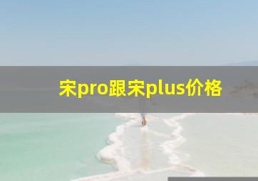 宋pro跟宋plus价格