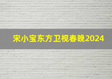 宋小宝东方卫视春晚2024