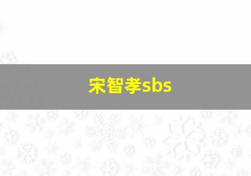 宋智孝sbs