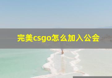 完美csgo怎么加入公会