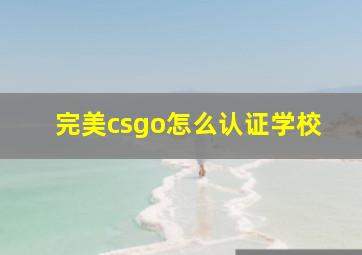 完美csgo怎么认证学校