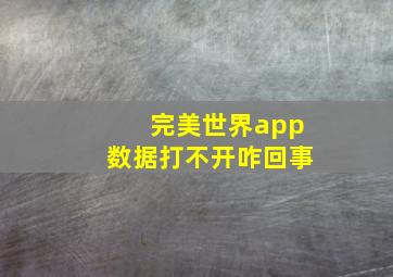 完美世界app数据打不开咋回事