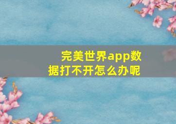 完美世界app数据打不开怎么办呢