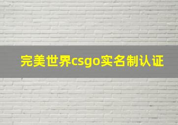 完美世界csgo实名制认证