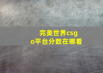 完美世界csgo平台分数在哪看