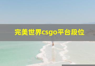 完美世界csgo平台段位