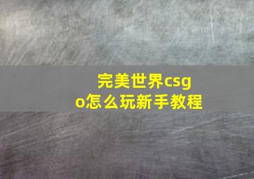 完美世界csgo怎么玩新手教程