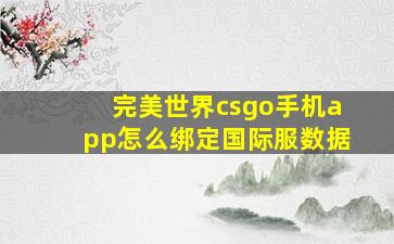 完美世界csgo手机app怎么绑定国际服数据