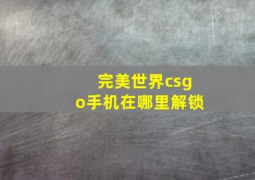 完美世界csgo手机在哪里解锁