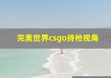 完美世界csgo持枪视角