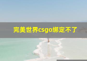 完美世界csgo绑定不了