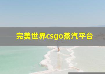 完美世界csgo蒸汽平台