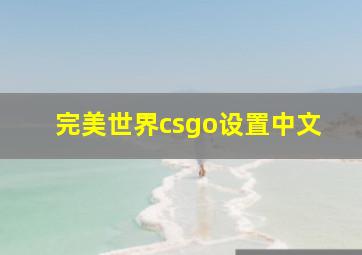 完美世界csgo设置中文