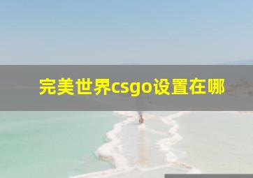 完美世界csgo设置在哪