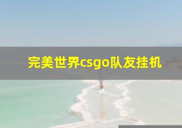 完美世界csgo队友挂机