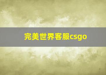 完美世界客服csgo