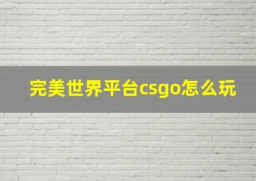 完美世界平台csgo怎么玩