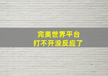 完美世界平台打不开没反应了