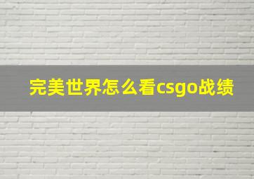 完美世界怎么看csgo战绩