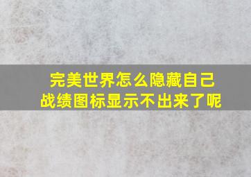 完美世界怎么隐藏自己战绩图标显示不出来了呢