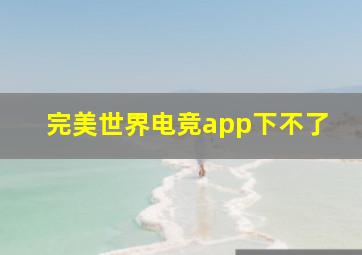 完美世界电竞app下不了