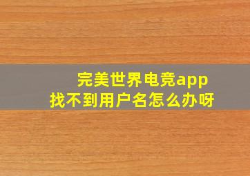 完美世界电竞app找不到用户名怎么办呀