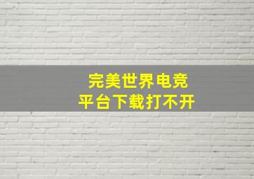 完美世界电竞平台下载打不开