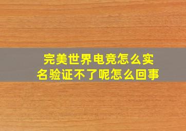 完美世界电竞怎么实名验证不了呢怎么回事