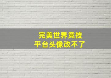 完美世界竞技平台头像改不了