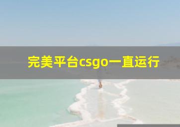 完美平台csgo一直运行