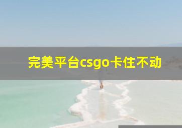 完美平台csgo卡住不动