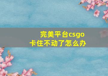 完美平台csgo卡住不动了怎么办