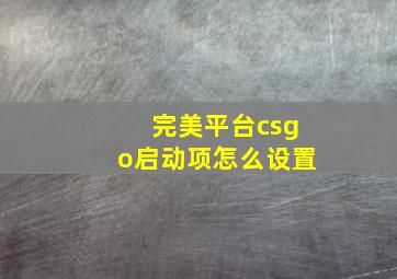 完美平台csgo启动项怎么设置