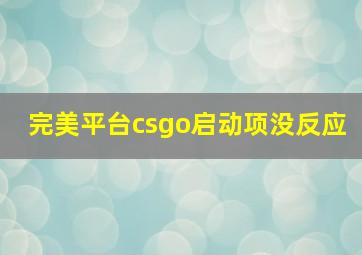 完美平台csgo启动项没反应