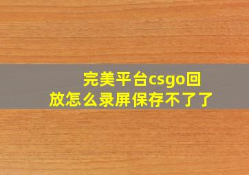 完美平台csgo回放怎么录屏保存不了了