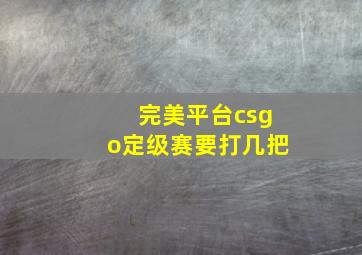 完美平台csgo定级赛要打几把