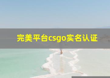 完美平台csgo实名认证